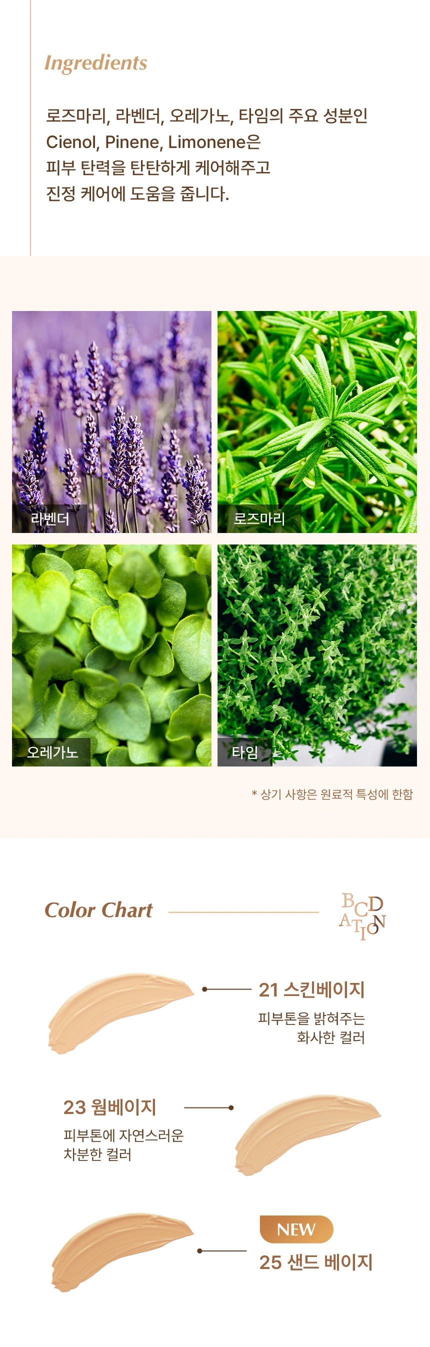 비씨데이션 울트라 픽스 파운데이션(bcdation ultra fix foundation)