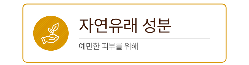 (1+1) 닥터 스칼렛 비오틴 안티 헤어 로스 샴푸(drscarlet biotension anti hair loss shampoo set)