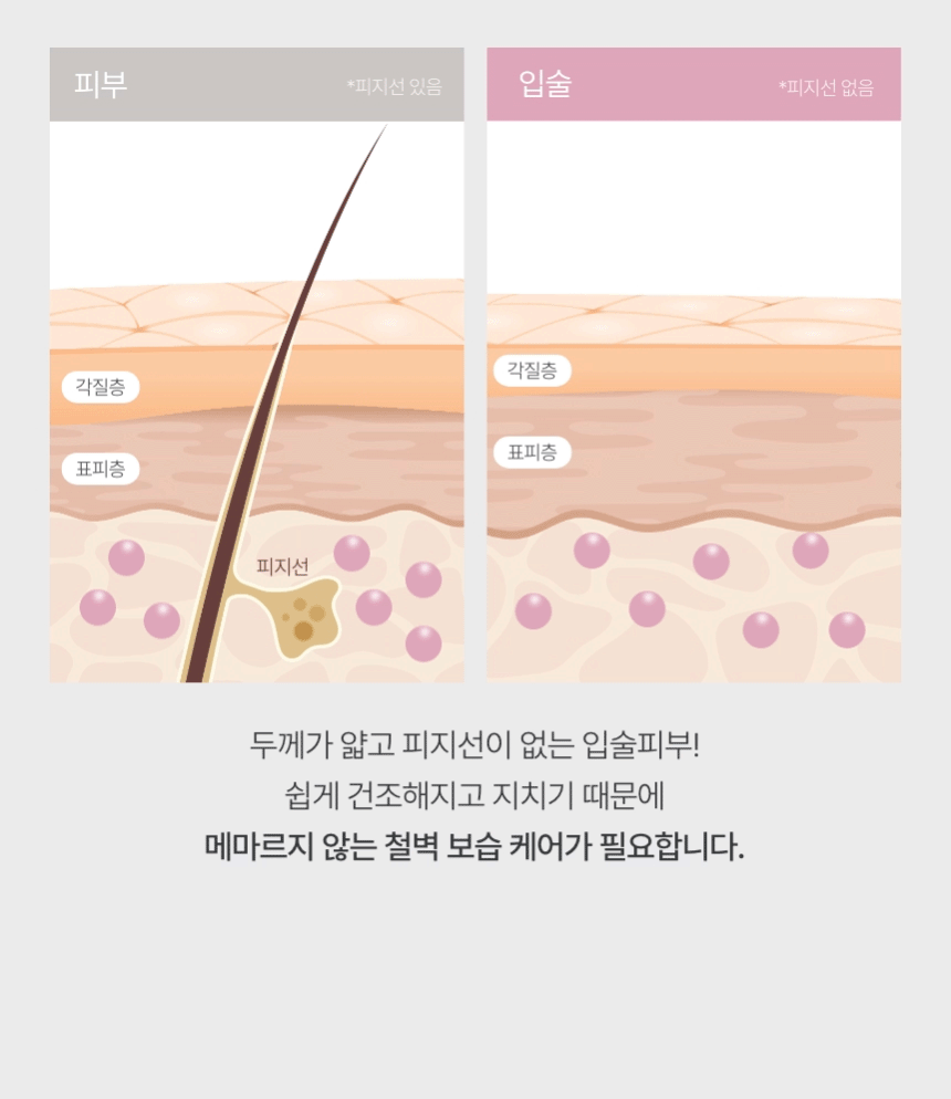 (1+1) 시어 펩타이드 립 밤(shea peptide lip balm set)