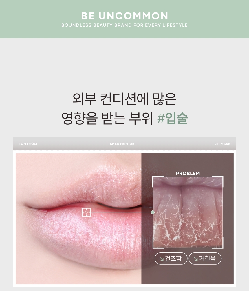 (1+1) 시어 펩타이드 립 밤(shea peptide lip balm set)