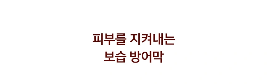 올 한 해 사랑받은 베스트 제품 특가