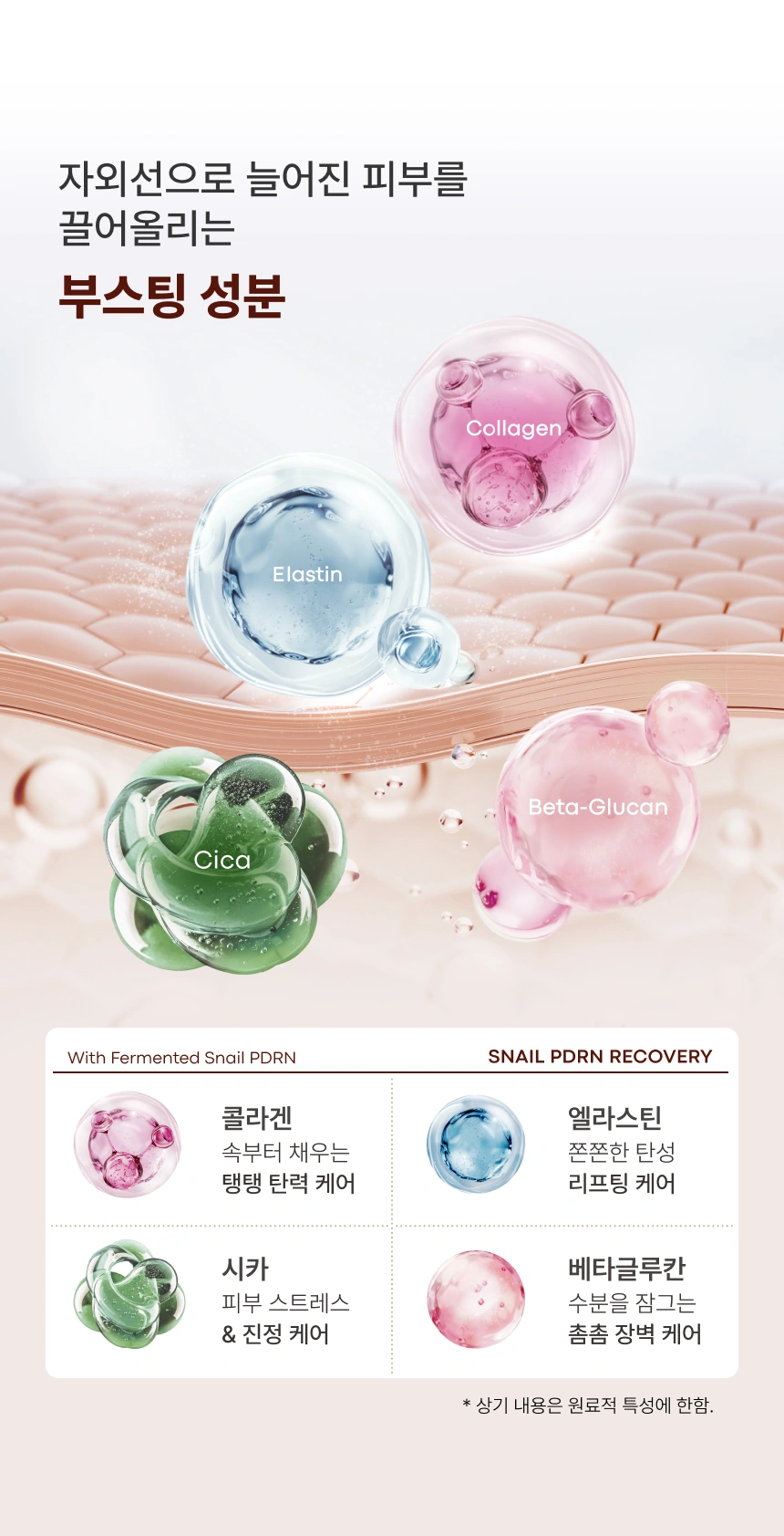 스네일 PDRN 리커버리 선크림(snail pdrn recovery sun cream)