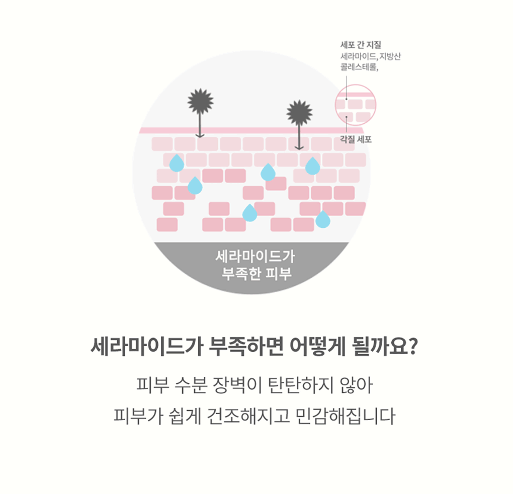 원더 세라마이드 모찌 토너(wonder ceramide mochi toner)