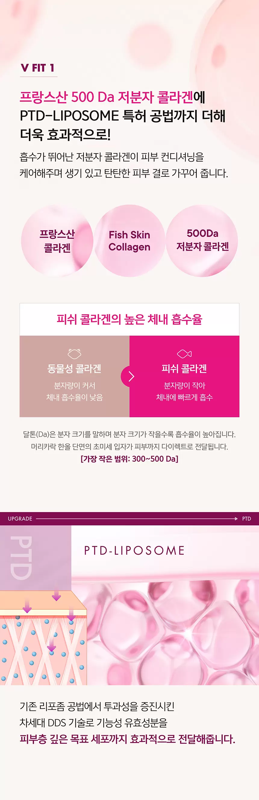 콜라겐 펩타이드 브이핏 괄사 크림 기획 세트 (본품50ml+괄사+리필50ml)(collagen peptide v fit gua sha cream set)