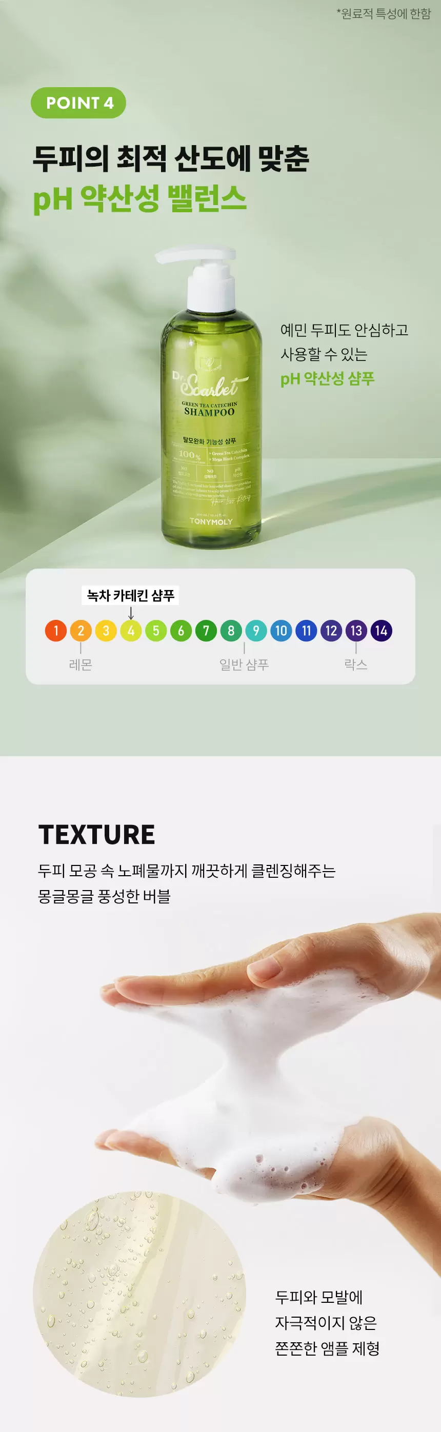 (1+1) 닥터스칼렛 녹차 카테킨 안티 헤어로스 샴푸(drscarlet green tea catechin anti hair loss shampoo set)