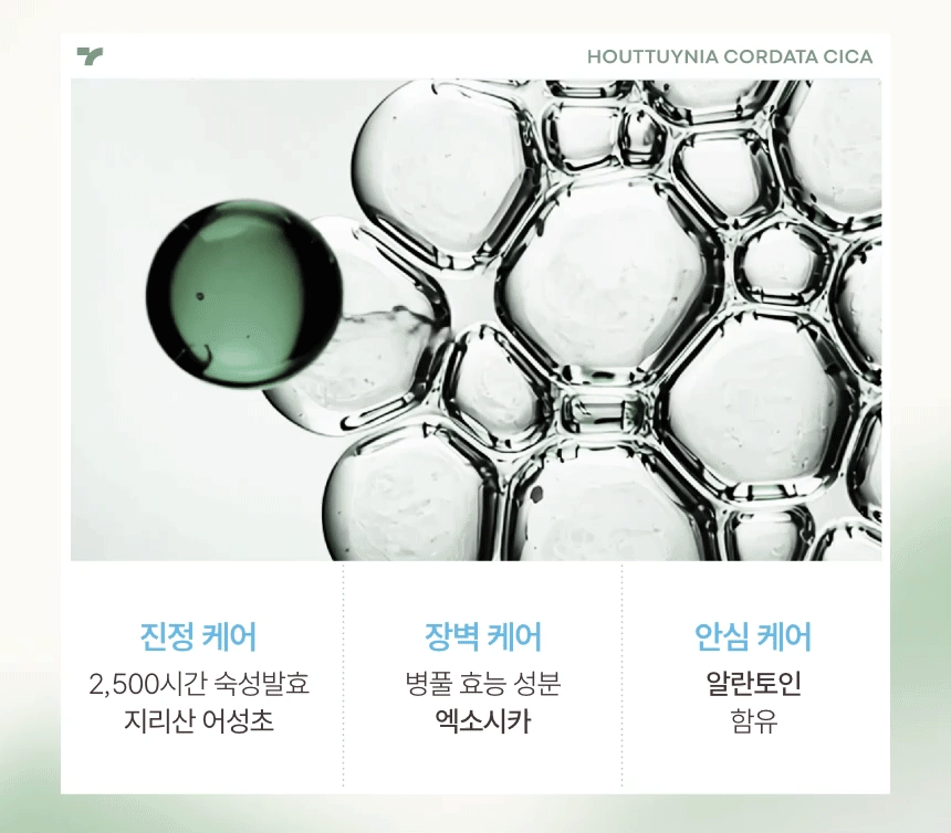 어성초시카 앰플 앤 크림 세트(houttuynia cordata cica ampoule cream set)