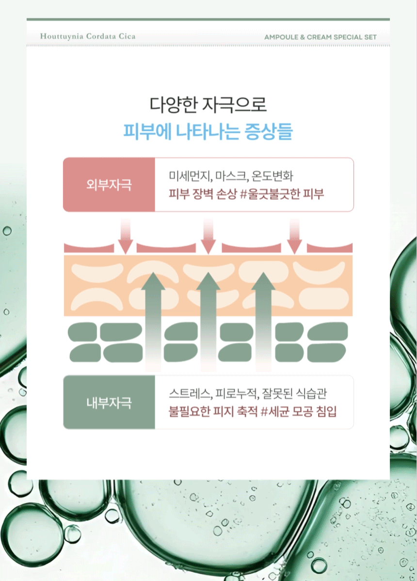 어성초시카 앰플 앤 크림 세트(houttuynia cordata cica ampoule cream set)