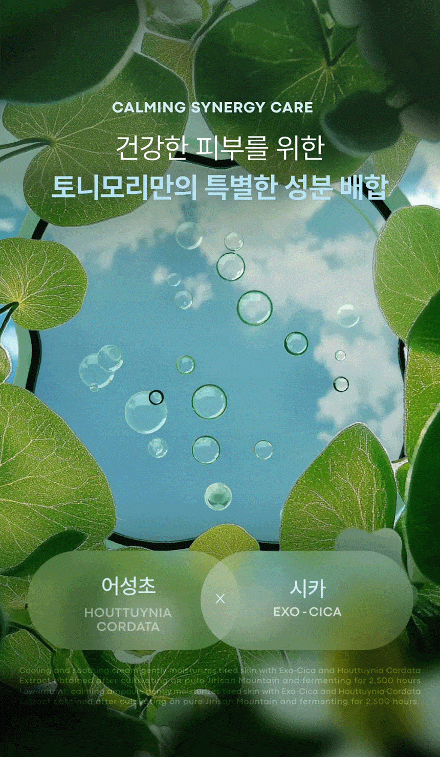 어성초시카 앰플 앤 크림 세트(houttuynia cordata cica ampoule cream set)