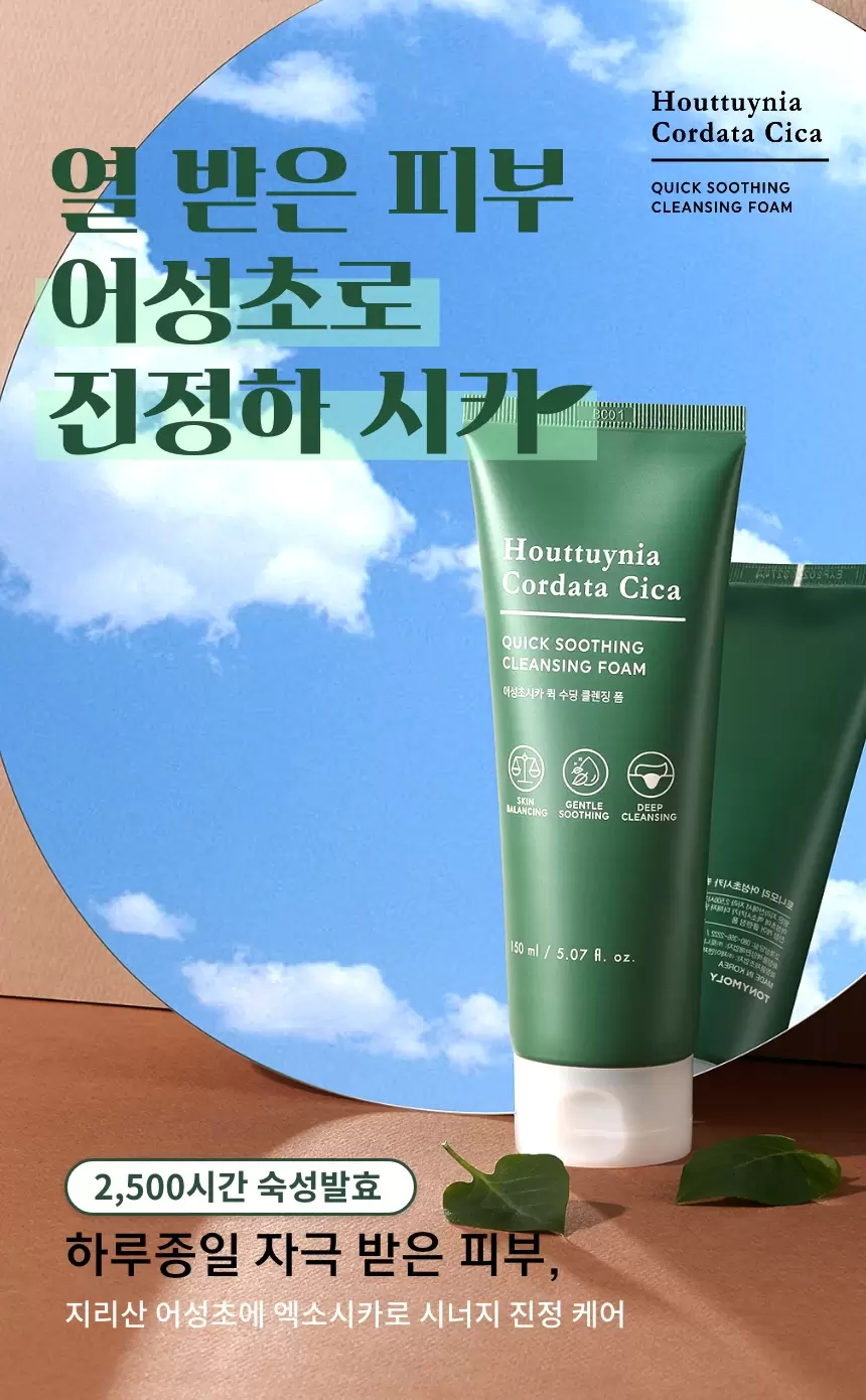 어성초시카 퀵 수딩 클렌징 폼 (houttuynia cordata cica cleansing foam)