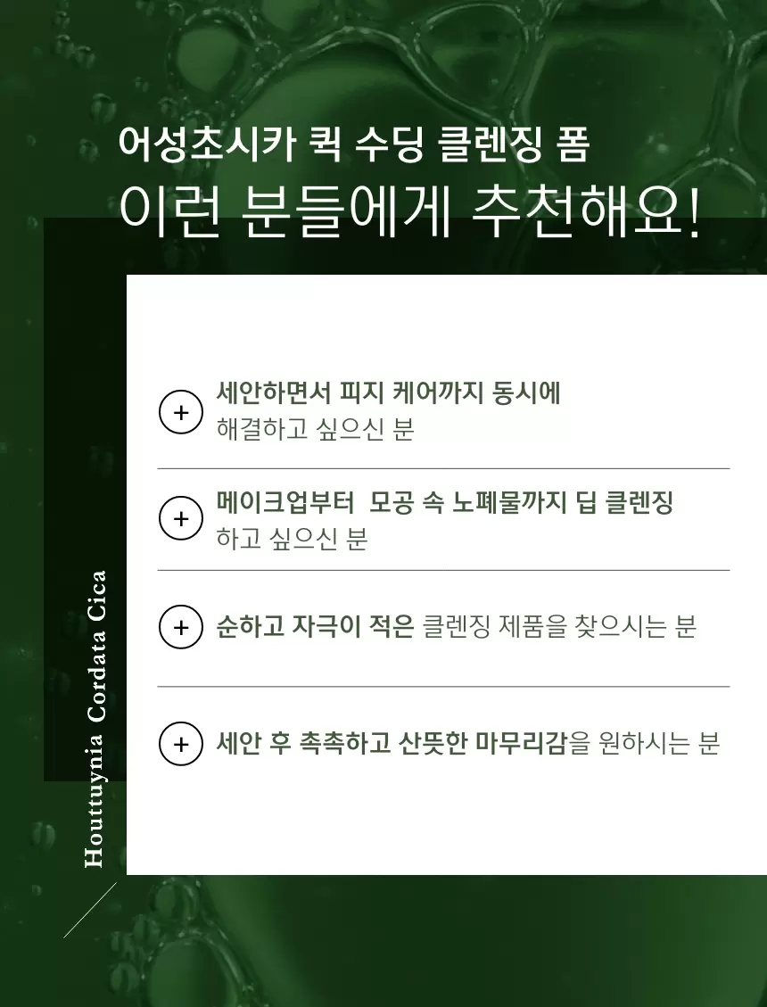 어성초시카 퀵 수딩 클렌징 폼 (houttuynia cordata cica cleansing foam)
