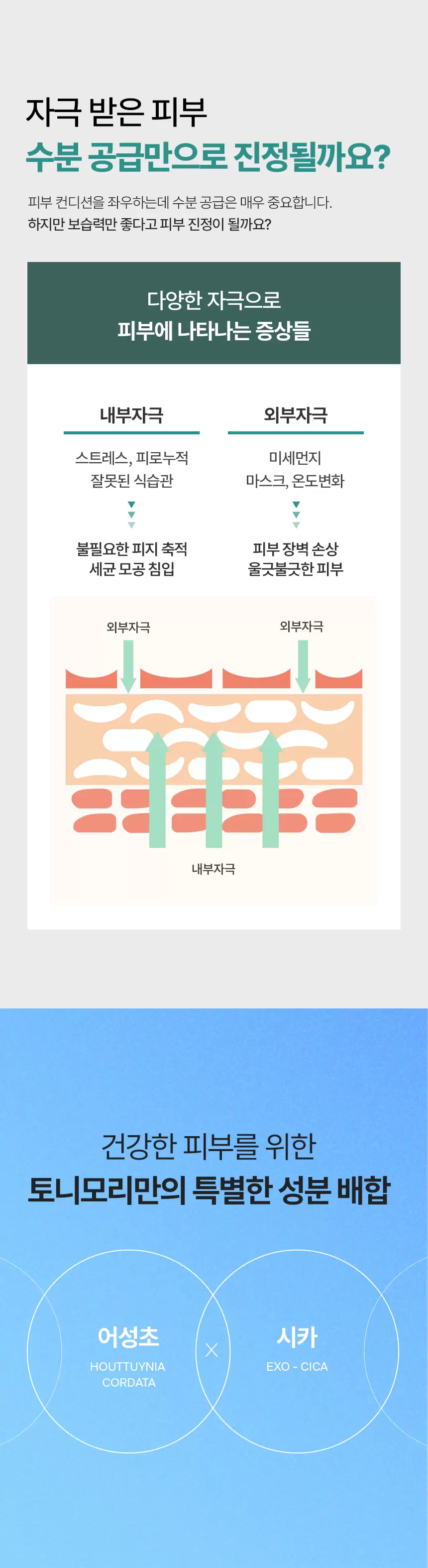 어성초시카 모공 프리징 패드(houttuynia cordata cica pore freezing pad)