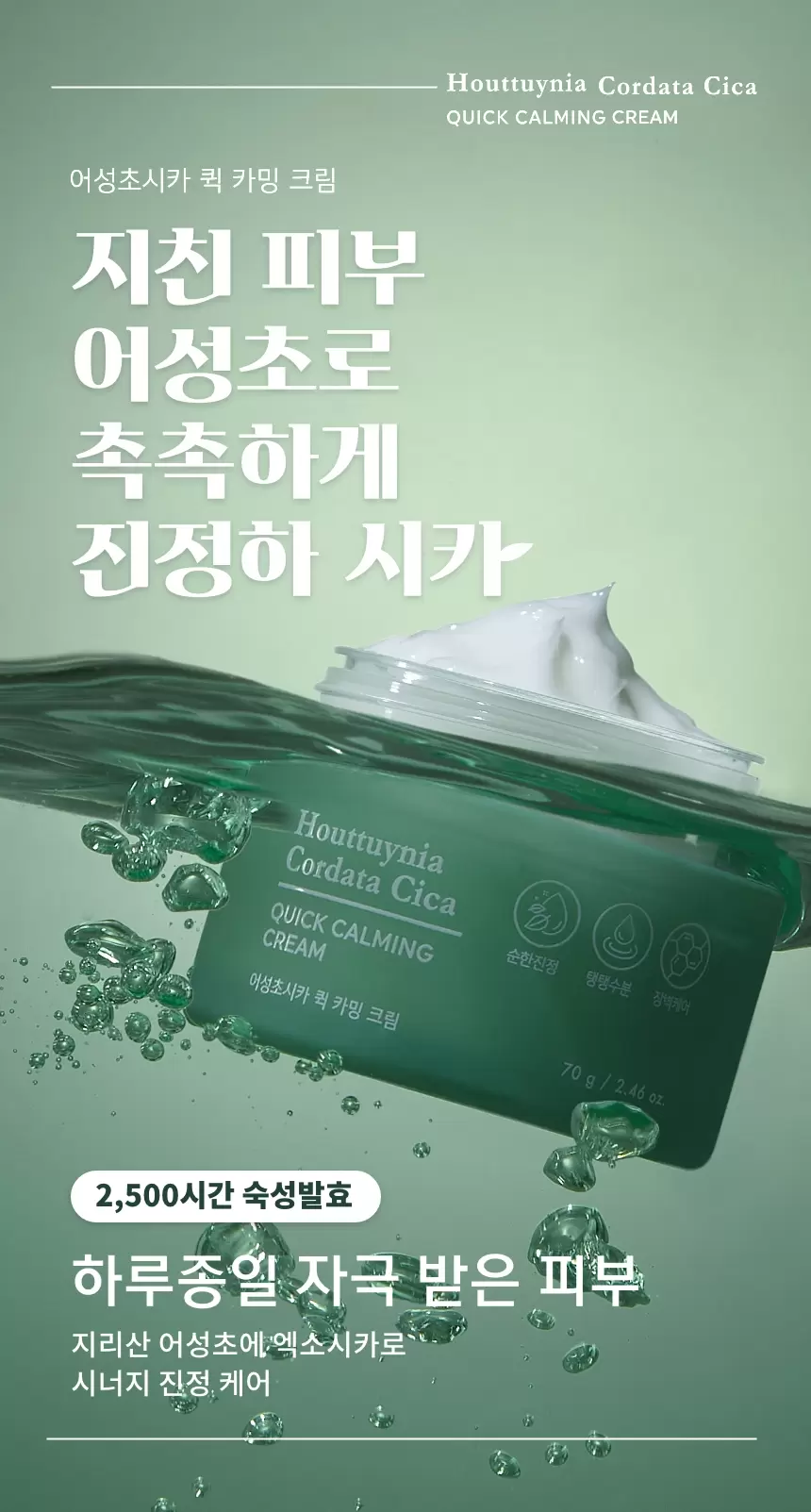 어성초시카 퀵 카밍 크림(houttuynia cordata cica quick calming cream)