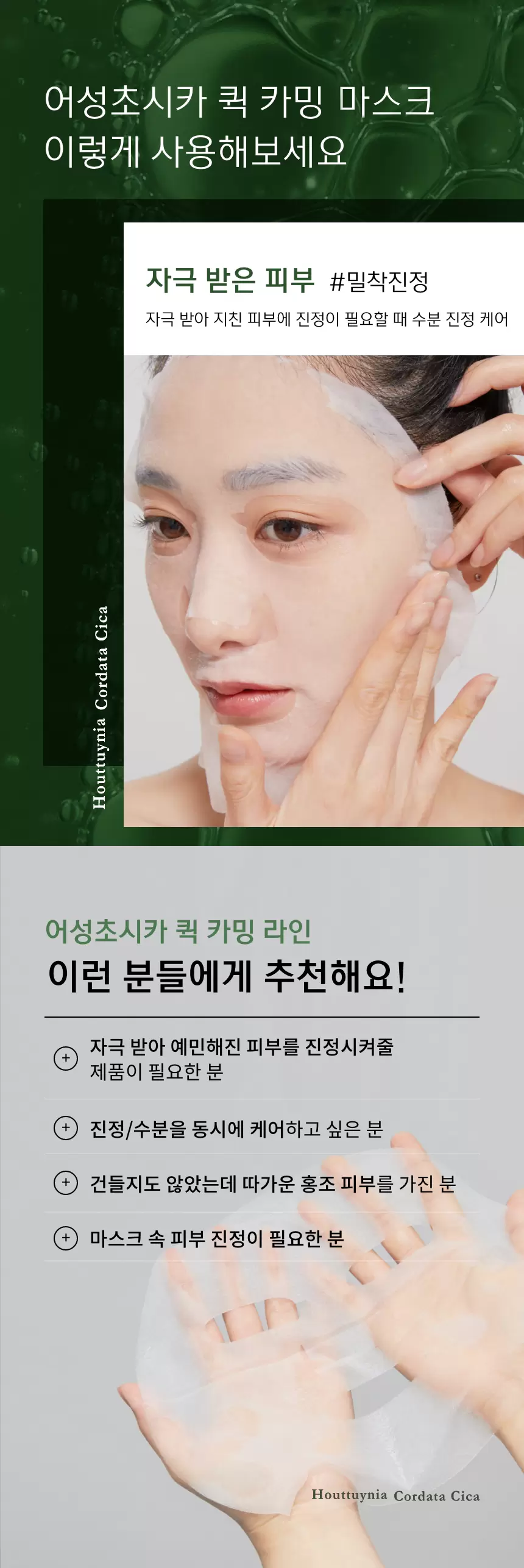 (10+10) 어성초시카 퀵 카밍 마스크(houttuynia cordata cica quick calming mask set)