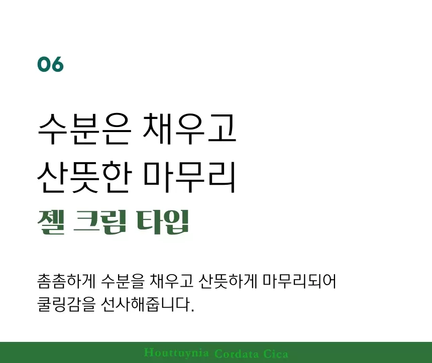 어성초시카 퀵 카밍 수딩젤(houttuynia cordata cica quick calming soothing gel)