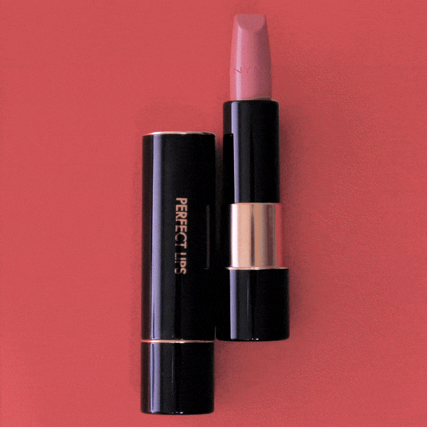 퍼펙트 립스 루즈 인텐스(perfect lips rouge intense)