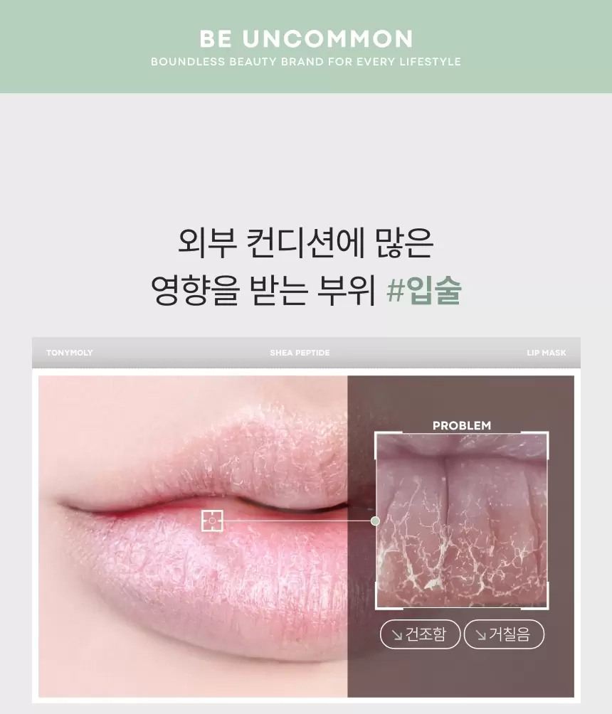 시어 펩타이드 립 마스크(shea peptide lip mask)
