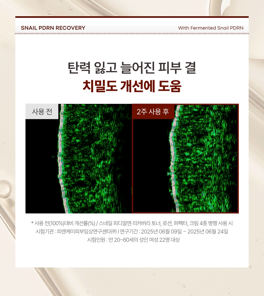 스네일 PDRN 리커버리 2종 세트(snail pdrn recovery skincare set)