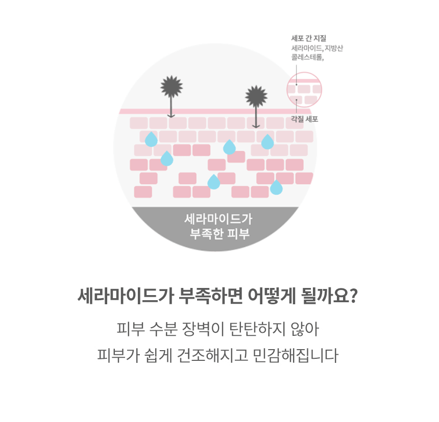 [공식몰 단독] 원더 세라마이드 모찌 세트(wonder ceramide mochi set)